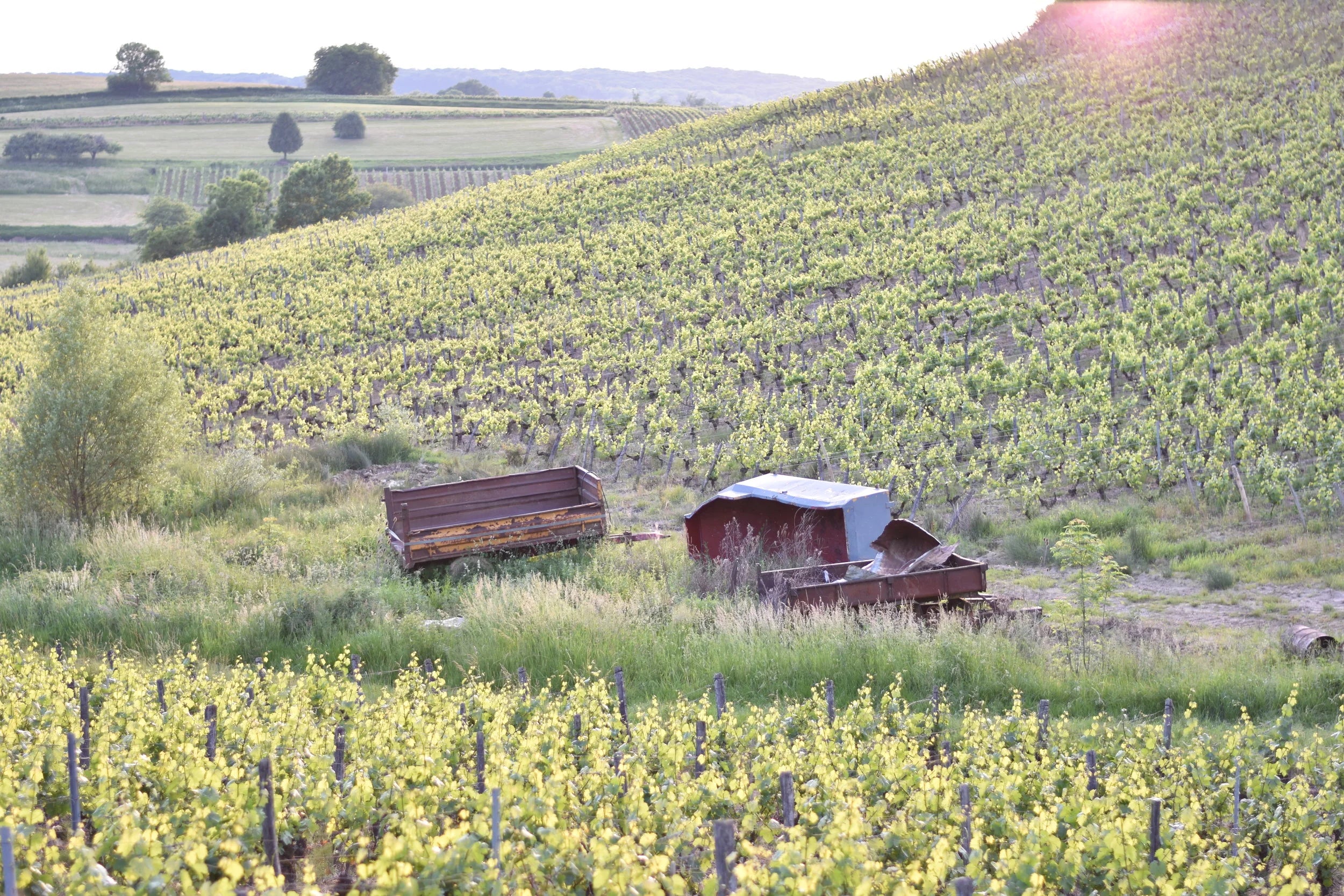 * Pre-Order * - Domaine Fumey-Chatelain - Arbois Rouge 'No Sin Tou Tsefs' 2023