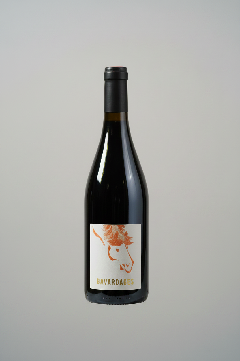 Domaine Jeanne Germain - Saumur Champigny 'Bavardages' Cabernet Franc 2024