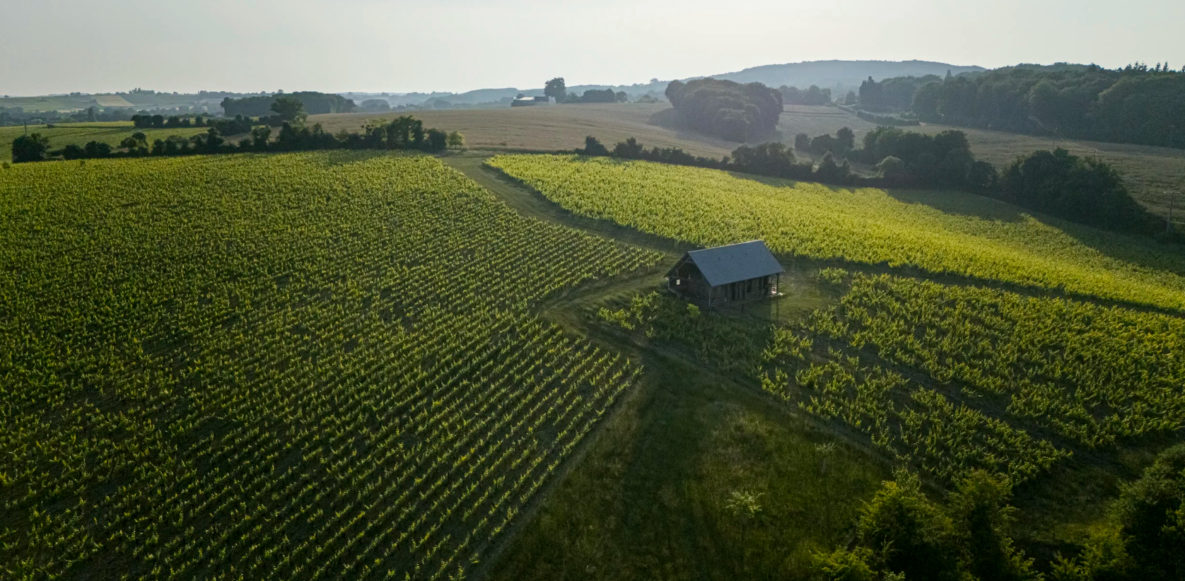 Domaine Pellé - Menetou-salon ‘Les Cris’ Pinot Noir 2022