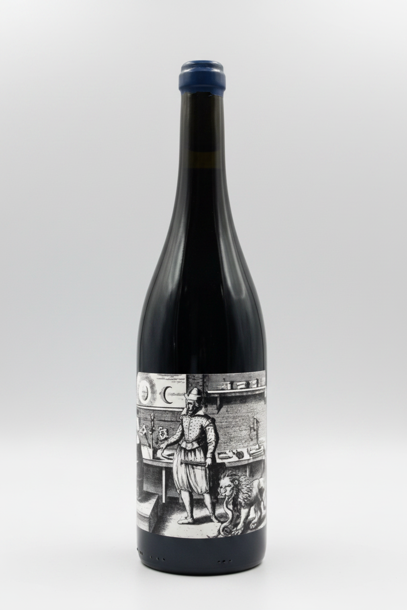 Vincent Ruiz - Vin de France 'Yseult Mon Amour' Syrah 2022