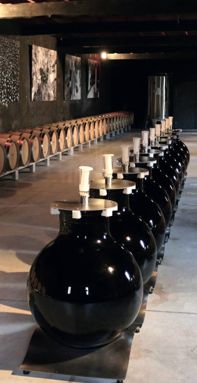 Wineglobe220L-_Full_of_Life_Wine_-_image_2