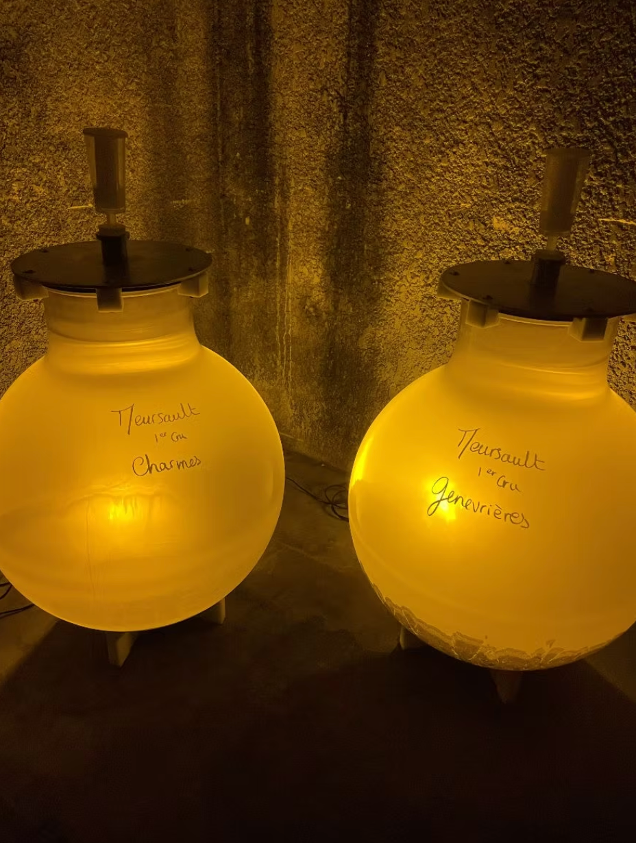 Wineglobe220L-_Full_of_Life_Wine_-_image_3